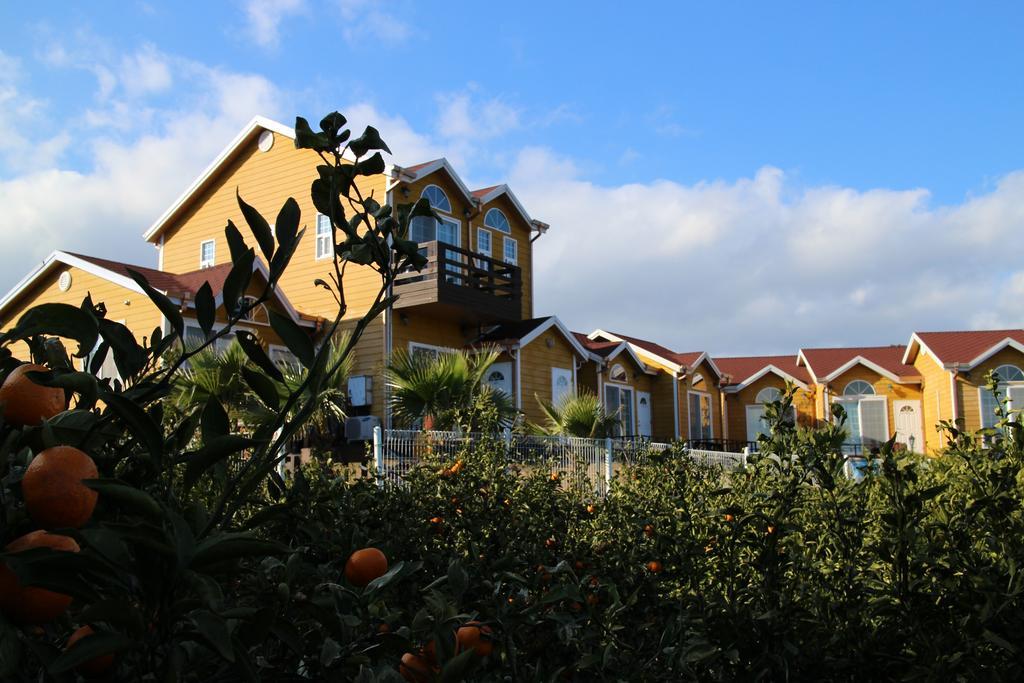 Healing House Βίλα Σεογκουίπο Εξωτερικό φωτογραφία