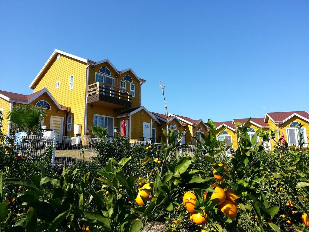 Healing House Βίλα Σεογκουίπο Εξωτερικό φωτογραφία